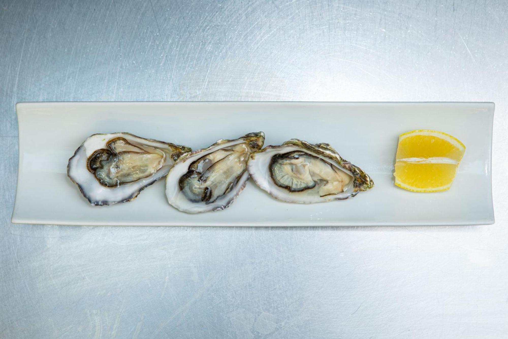 Ashes Seafood Restaurant Accommodation Dingle Bagian luar foto