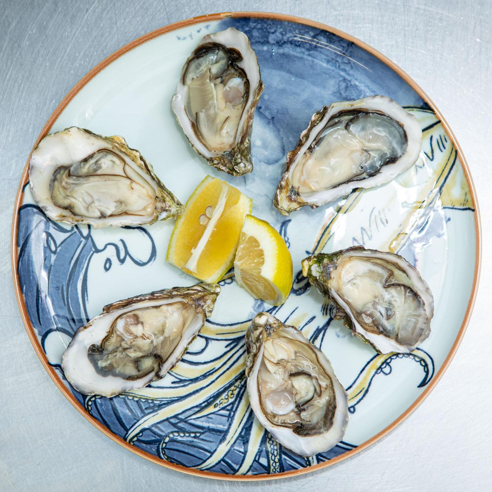 Ashes Seafood Restaurant Accommodation Dingle Bagian luar foto