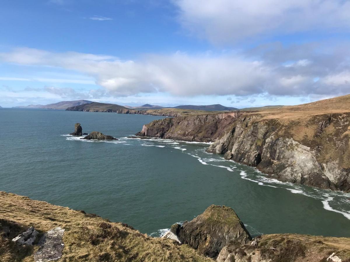 Ashes Seafood Restaurant Accommodation Dingle Bagian luar foto